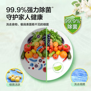 惠寻 食品级果蔬清洗剂99.9%除菌 490g