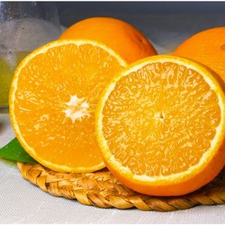 能够吸的果冻橙你见过吗？堪称柑橘界的佼佼者！