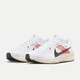 京东百亿补贴：NIKE 耐克 PEGASUS 40 EK 男子公路跑步鞋 FJ0686-100