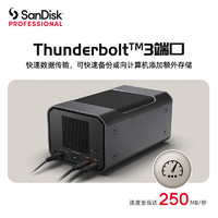 SanDisk professional 闪迪大师 极锐系列 G-RAID™ 致镜 3.5英寸 Type-C移动机械硬盘 16TB 雷雳3