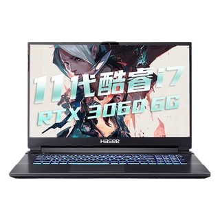 Hasee 神舟 战神 G8-TA7NP 十一代酷睿版 17.3英寸 游戏本