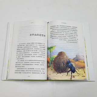 红星照耀中国 昆虫记八年级上册名（套装2册）