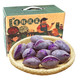 聚怀斋 越南紫薯2.5kg 珍珠小紫薯 紫心地瓜 新鲜蔬菜 精美礼盒