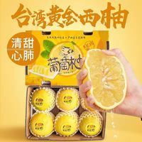 Pemelo 柚子 葡萄柚新鲜黄金柚子水果爆汁香甜正宗福建西柚整箱