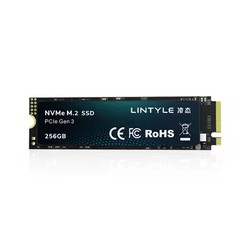 LINTYLE 凌态 X15 M.2固态硬盘 512GB （PCIe 3.0）