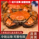 馋之鲜 兴化大闸蟹全母2.1-2.4两8只鲜活螃蟹大闸蟹