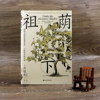 智慧宫丛书024·祖荫下  一部描写生动、笔触细腻的民族志，中国家庭研究的经典之作