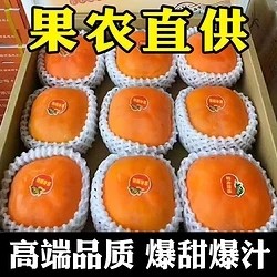 姬幻 巨无霸特大果 商超品质 爆甜 脆柿 子 9.5斤装 单果（150-250g）