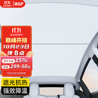 W&P 特斯拉Model Y天窗遮阳挡 天窗全遮+涂银布-原车色