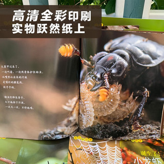 生命的故事44册礼盒装 赠音频 珍稀动物 3-6-8岁儿童科普绘本少儿昆虫百科全书动物世界