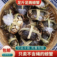 蟹锦记 大闸蟹 10只礼盒装 蟹皇4.7-5.5两+（值友下单赠送2只直发10只大闸蟹）　