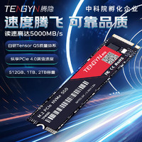 腾隐 精选长江存储晶圆台式机笔记SSDPCIe4.0 NVMe 2TB TP4000 5000MB/S