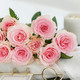 简值了 玫瑰10枝色生活鲜花云南品质玫瑰鲜 切花云南基地直发