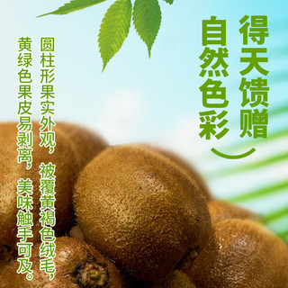 东方甄选徐香猕猴桃 4.7斤装 新鲜酸甜 80-100g中果26粒