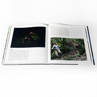 万物有灵：国际野生生物摄影年赛第54届获作品 自然摄影动物摄影 展示地球生命脉动 艺术摄影 后浪