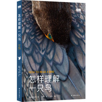“天际线”丛书：怎样理解一只鸟
