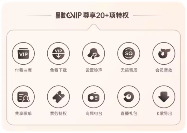 NetEase CloudMusic 网易云音乐 VIP黑胶会员12个月年卡