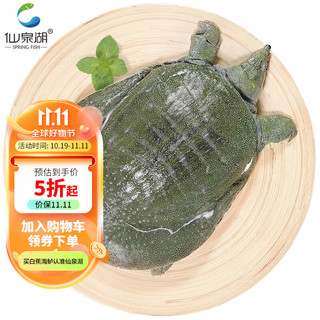 仙泉湖 净膛甲鱼750g/个 冷冻汉寿中华鳖王八团鱼鳖1斤半海鲜水产