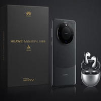 HUAWEI 华为 Mate 60 Pro 乐臻版 手机 12GB+1TB 雅丹黑