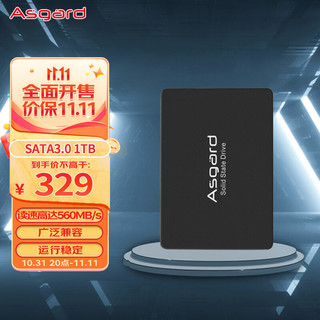 Asgard 阿斯加特 AS SATA 固态硬盘 1TB（SATA3.0）