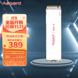 Asgard 阿斯加特 AN系列 AN4+ NVMe M.2 固态硬盘 1TB（PCI-E4.0）