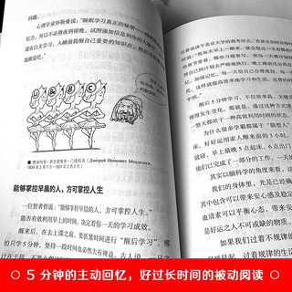 复习力 睡前醒后 5 分钟学习法 掌握大脑的高峰记忆时间 开启高效学习