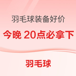 好价汇总：羽球人的双11正确打开方式，这几款热卖装备今晚八点必拿下！