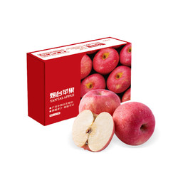Mr.Seafood 京鲜生 烟台红富士苹果12个 净重2.1kg