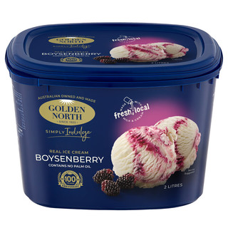 Golden North 金诺斯 金若丝 香草波森莓味冰淇淋 2L*1桶/940g 进口家庭装鲜奶冰激凌