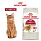 ROYAL CANIN 皇家 猫粮 营养成猫全价粮 优选营养配方 维持健康体重 F32 6.5kg