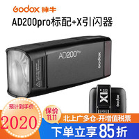 Godox 神牛 AD200pro大功率外拍灯单反闪光灯 口袋灯 AD200Pro标配+X1T引闪器