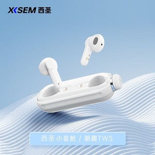 西圣 XISEM）小音舱真无线蓝牙耳机 半入耳式耳机 运动跑步耳机 降噪游戏耳机 南卡联合 Lite2 浩瀚白