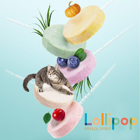 RANOVA 朗诺 冻干猫零食多种果蔬口味互动零食冻干棒棒糖3支（口味随机）