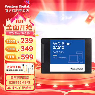 西部数据 WD）Blue蓝盘SA510系列SATA 固态硬盘 4TB（SATA3.0）