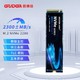 GUDGA 固德佳 GV M.2 NVMe PCIe3.0*4 M2固态硬盘SSD 256G 长江晶圆TLC