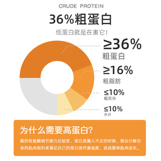 薄美 满月幼猫猫粮1到3月小猫咪英国短毛猫英短银渐层蓝白无谷奶糕