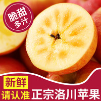 陕西洛川苹果水果新鲜当季整箱红富士冰糖心一级脆甜10斤