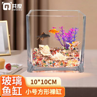 Gong Du 共度 玻璃方形金鱼缸办公桌绿萝水培家用创意小鱼缸小型迷你桌面乌龟缸 小号方形裸缸 10