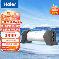海尔（Haier）管道式中央净水器家用净水机 去除余氯 环保零用电 炭纤维复合滤芯  HWP25-G（ZA）