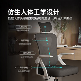 VWINPER电脑椅家用人体工学椅子办公椅靠背学习写字书房电竞游戏椅 白框黑网+乳胶坐垫（店长）