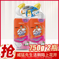 Mr Muscle 威猛先生 深层净力洁厕啫喱750g*2