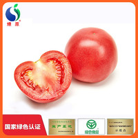 LIAOYUAN 燎原 绿色西红柿 生吃番茄新鲜蔬菜孕妇宝宝健康辅食 4斤包邮