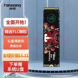 FANXIANG 梵想 S500 M.2 NVMe 固态硬盘 512GB