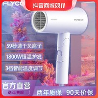 抖音超值购：FLYCO 飞科 电吹风机负离子护发家用大功率大风力速干发廊宿舍学生正品