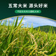 园侬鲜 2023年东北大米当季新米5kg黑土地种植一年一稻农家米黑龙江五常