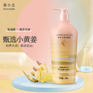 FEIXIAOZHU 菲小主 经典生姜洗发水 500ml