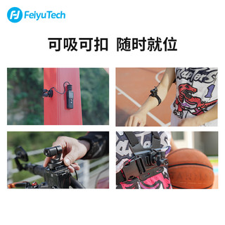 飞宇科技（FeiyuTech） pocket2S口袋云台相机手持增稳vlog摄像1.3英寸4K录制 标配+64G内存卡+三脚架+延长杆