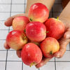 三十九度献鲜 新疆香槟小苹果1斤 海棠果鸡心小苹果当季中秋新鲜水果 生鲜