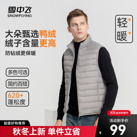 雪中飞 SNOWFLYING 秋冬男式轻薄羽绒服马甲基础男士短款羽绒秋马甲 火山灰 190/104A