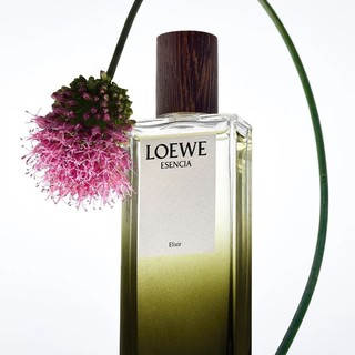 LOEWE 罗意威 Elixir系列 黑色圆舞曲男士香水 EDP 50ml